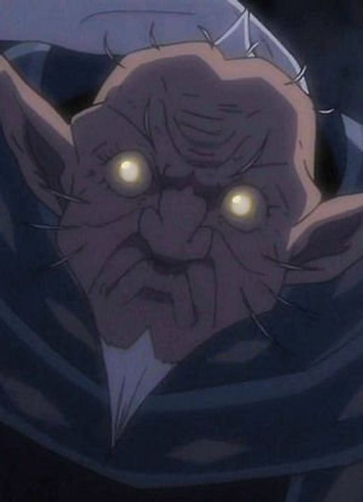 Burglar Goblin Slayer