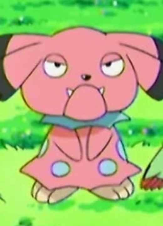 Snubbull Pokémon Mystery Dungeon: Team Go-Getters Out of the Gate!