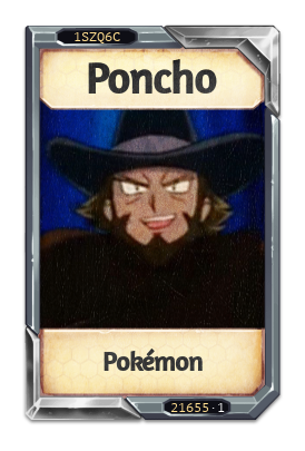 Poncho Pokémon