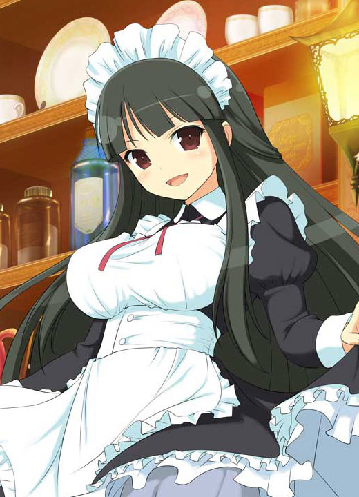 Tsubaki Senran Kagura: New Wave