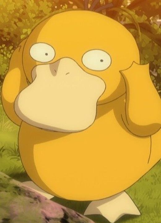 Psyduck Pokémon