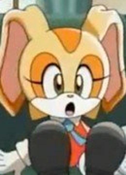 Cream the Rabbit Sonic X