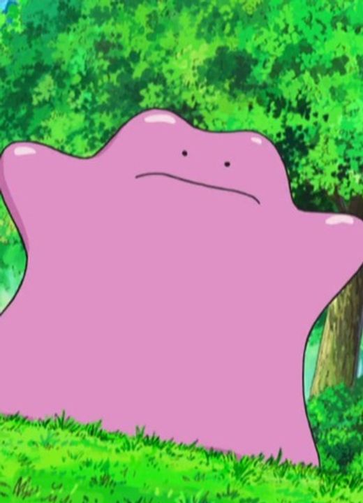 Ditto Pokémon