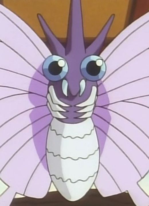 Venomoth Pokémon