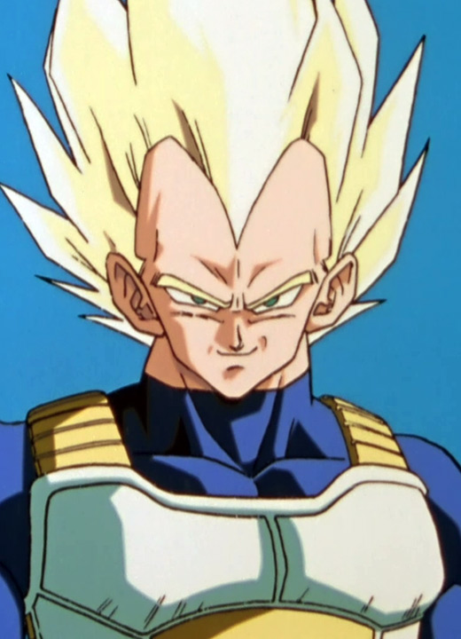 Vegeta Dragon Ball Z