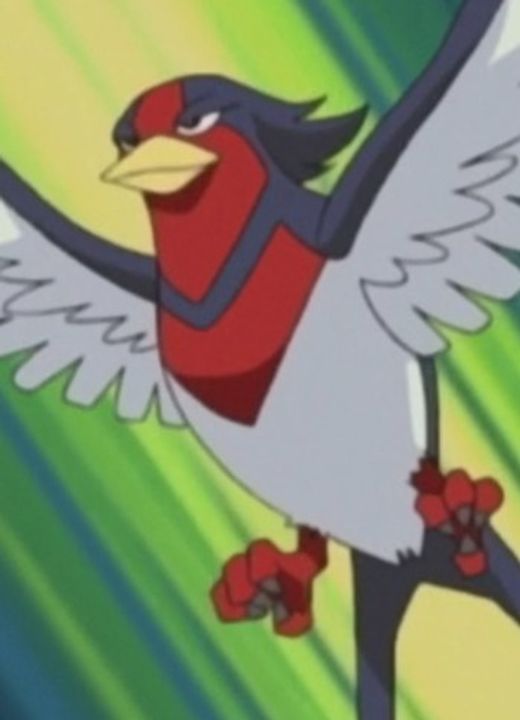 Swellow Pokémon Advanced