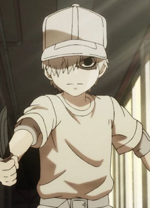 Myelocyte Cells at Work!