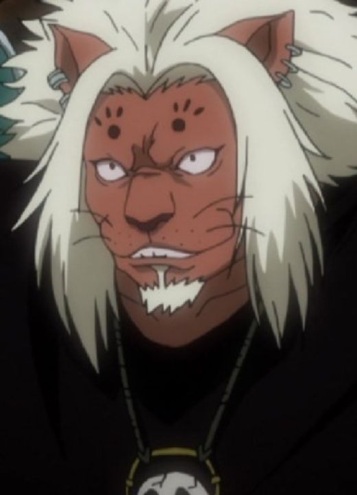 Leol Hunter x Hunter (2011)