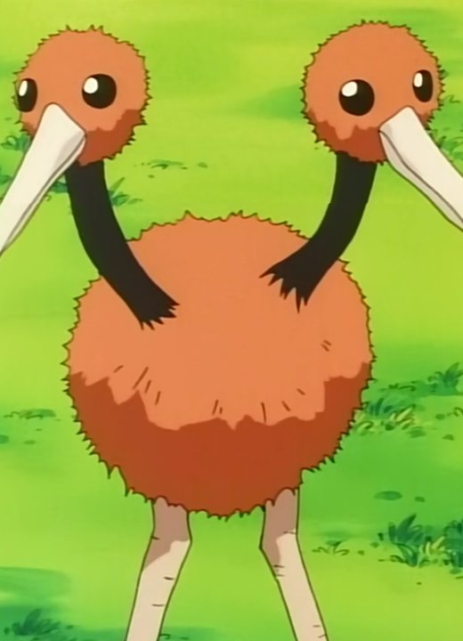 Doduo Pokémon