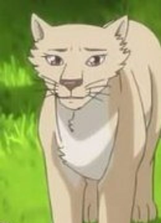 Eliza Lapis Re:LiGHTs