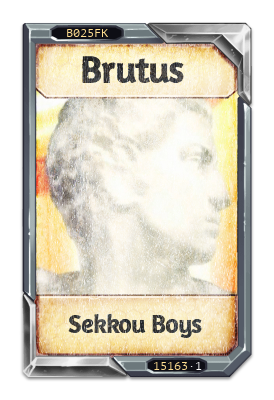 Brutus Sekkou Boys