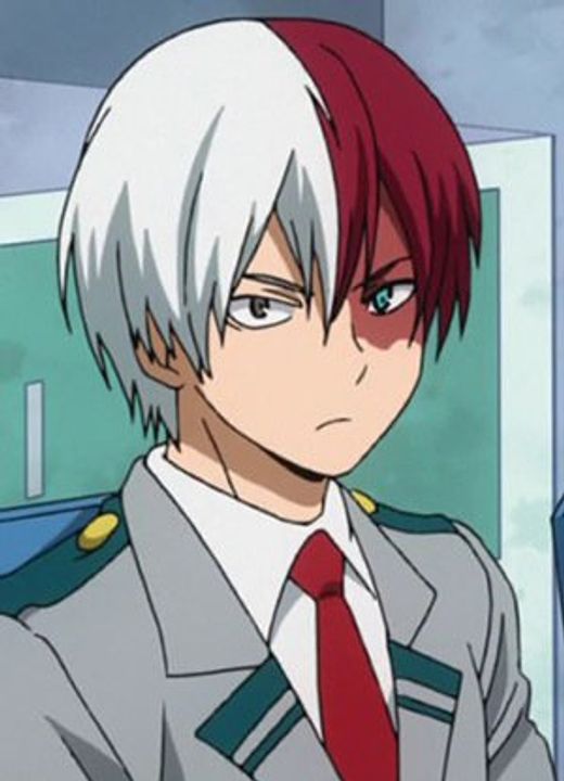 Shouto Todoroki My Hero Academia