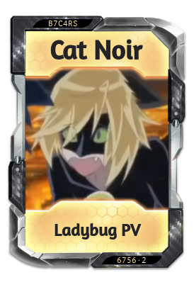 Cat Noir Ladybug PV