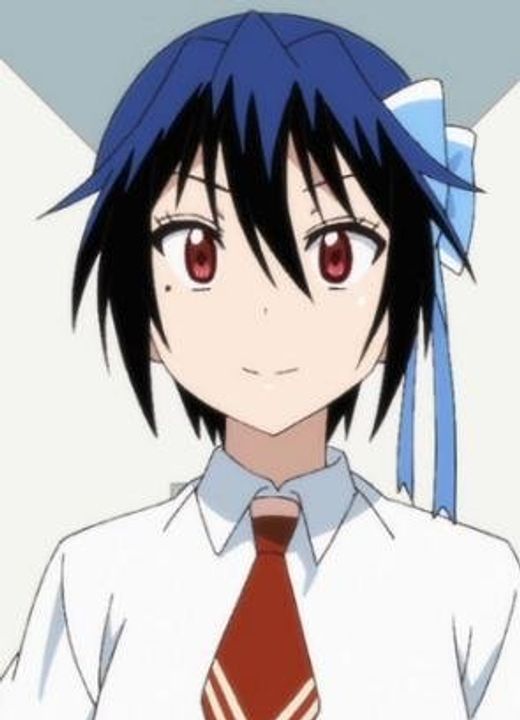Seishirou Tsugumi Nisekoi