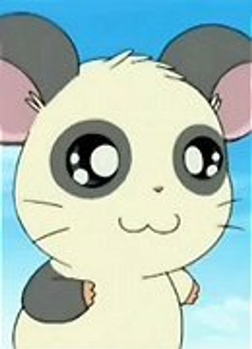 Panda Polar Bear Cafe