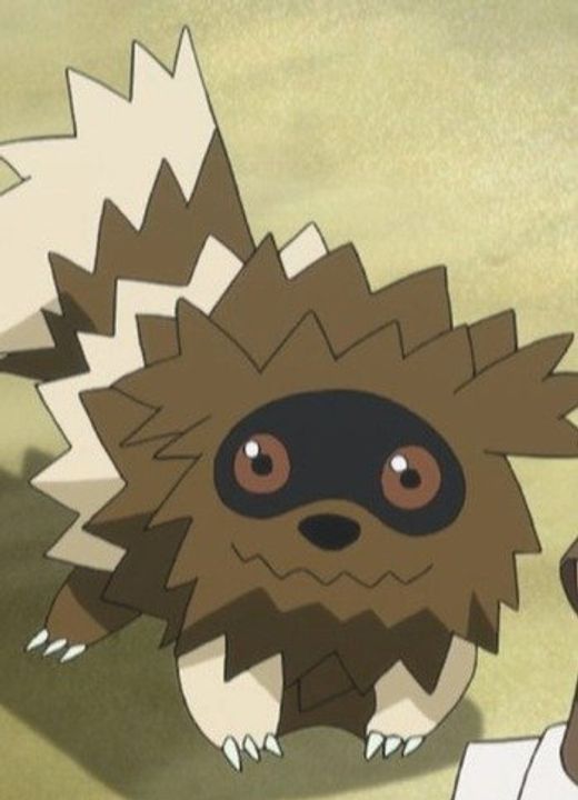 Zigzagoon Pokémon Advanced