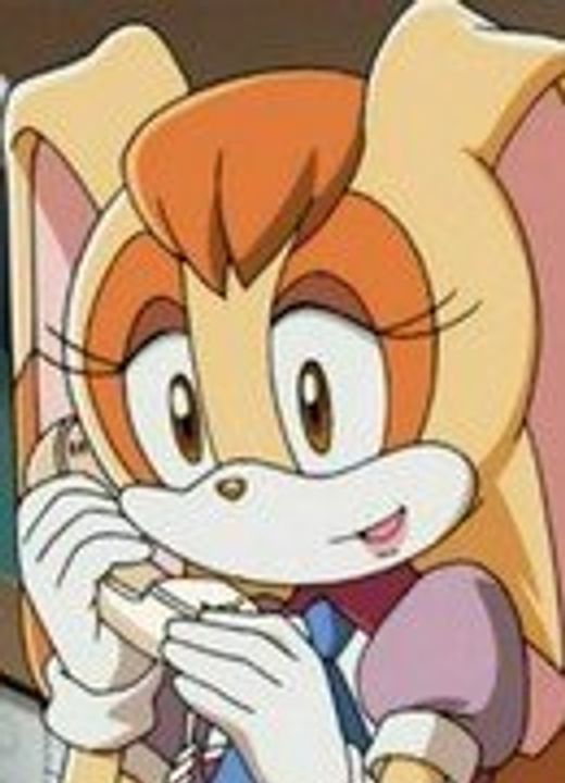 Vanilla the Rabbit Sonic X