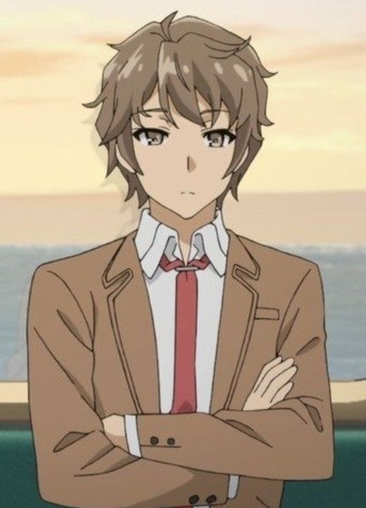 Sakuta Azusagawa Rascal Does Not Dream of Bunny Girl Senpai