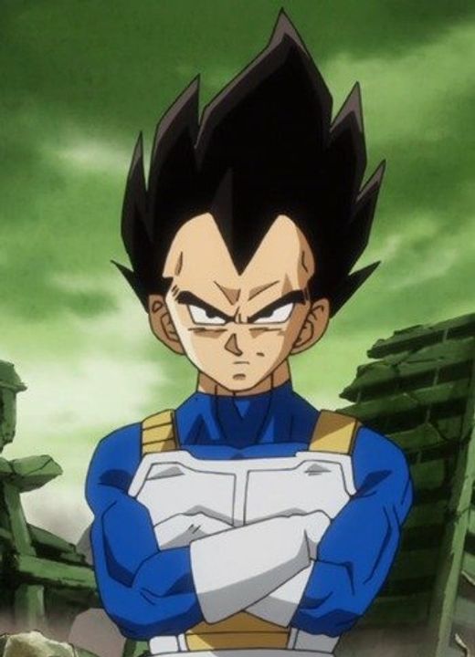 Vegeta Dragon Ball Z