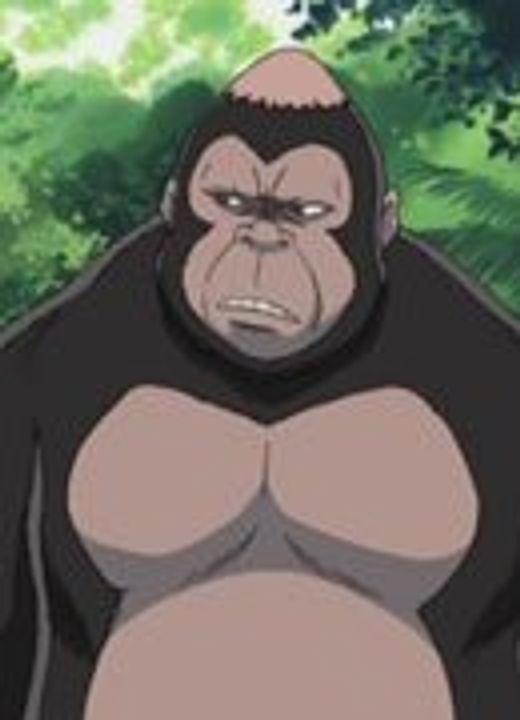 Gorilla Cromartie High School