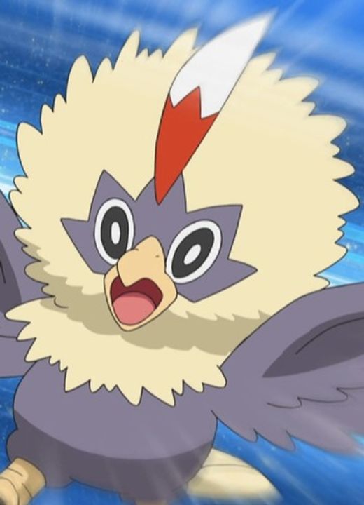 Rufflet Pokémon: Black & White: Rival Destinies