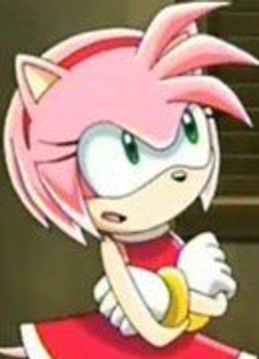 Amy Rose Sonic X