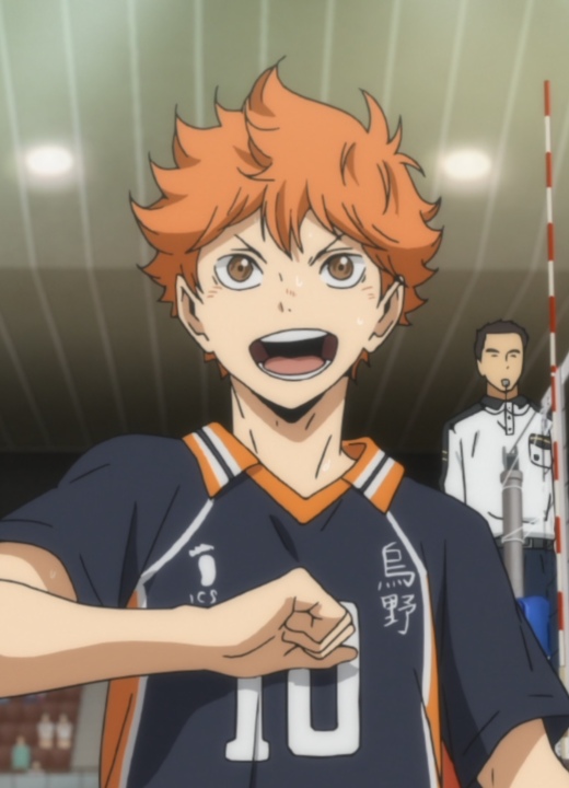 Shoyo Hinata Haikyuu!!