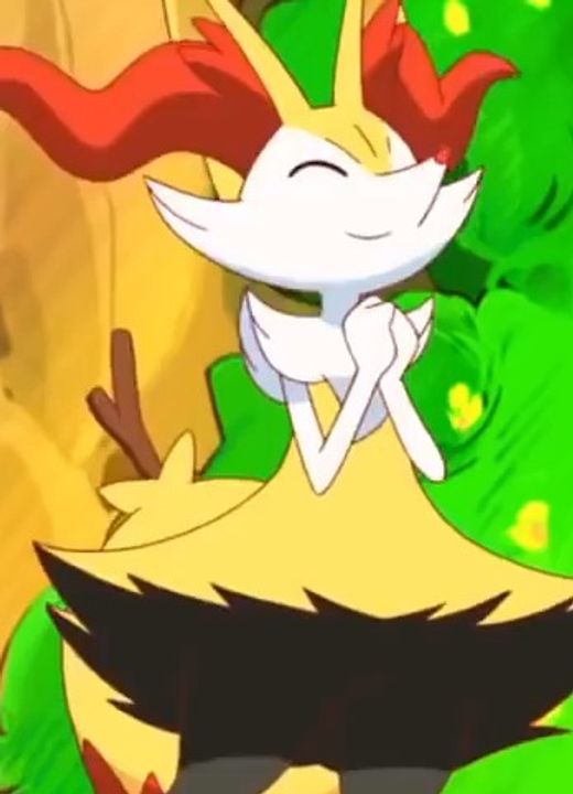 Braixen Pokémon XY