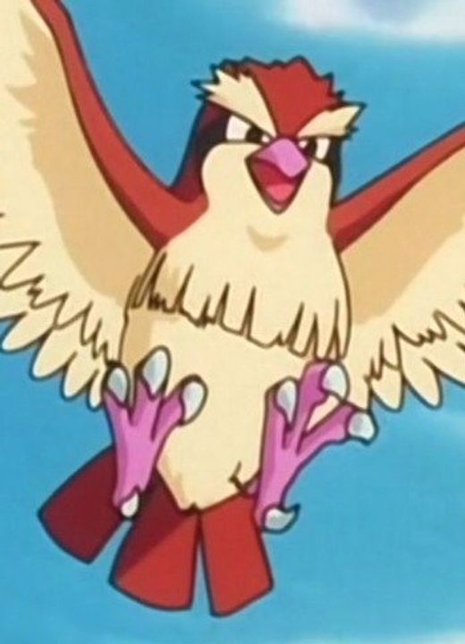 Pidgey Pokémon