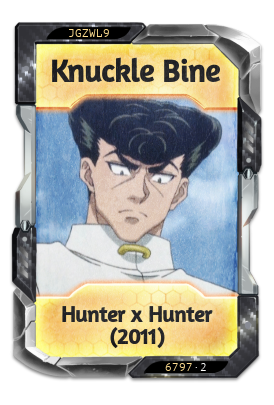 Knuckle Bine Hunter x Hunter (2011)