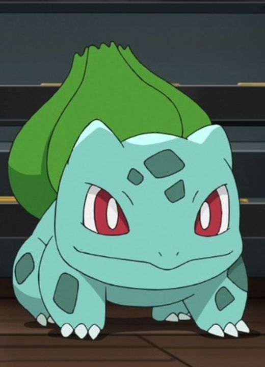 Bulbasaur Pokémon