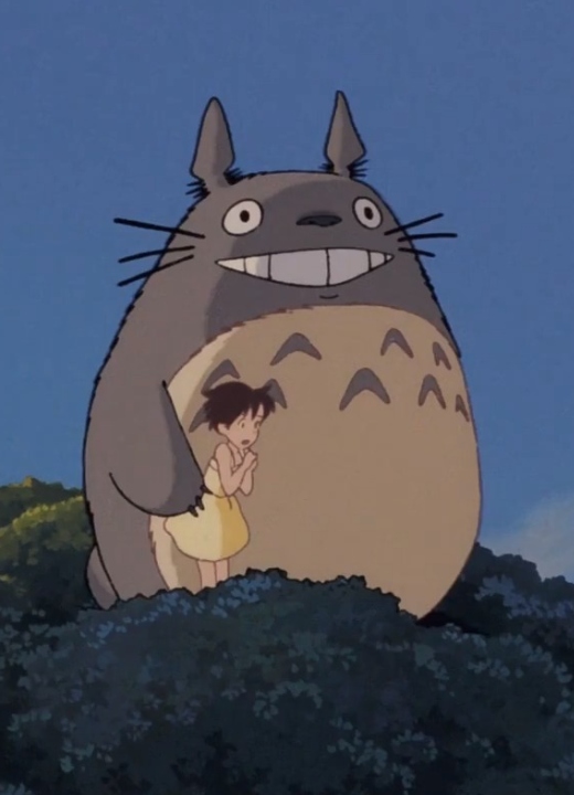 Totoro My Neighbor Totoro