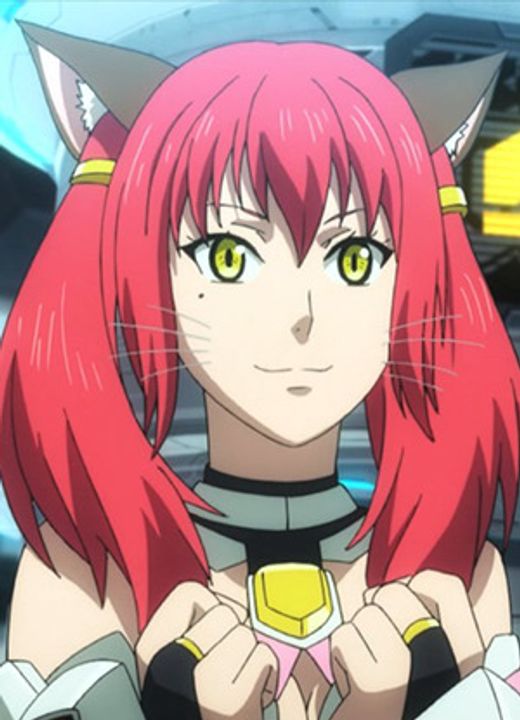 OrgaCats Phantasy Star Online 2 the Animation