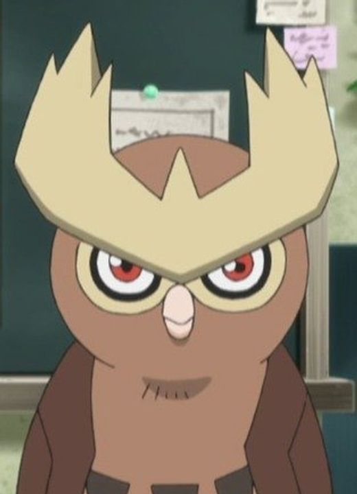 Noctowl Pokémon