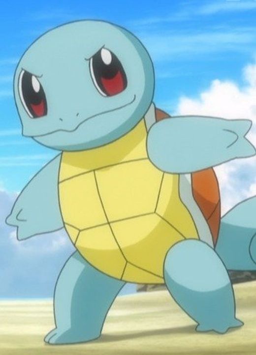 Squirtle Pokémon