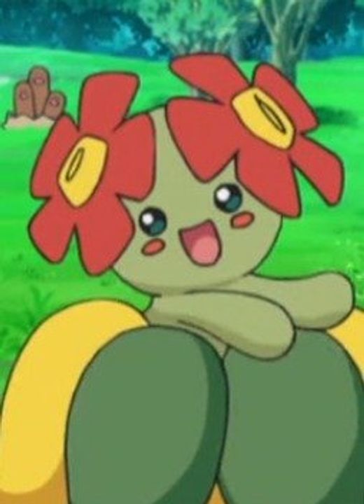 Bellossom Pokémon