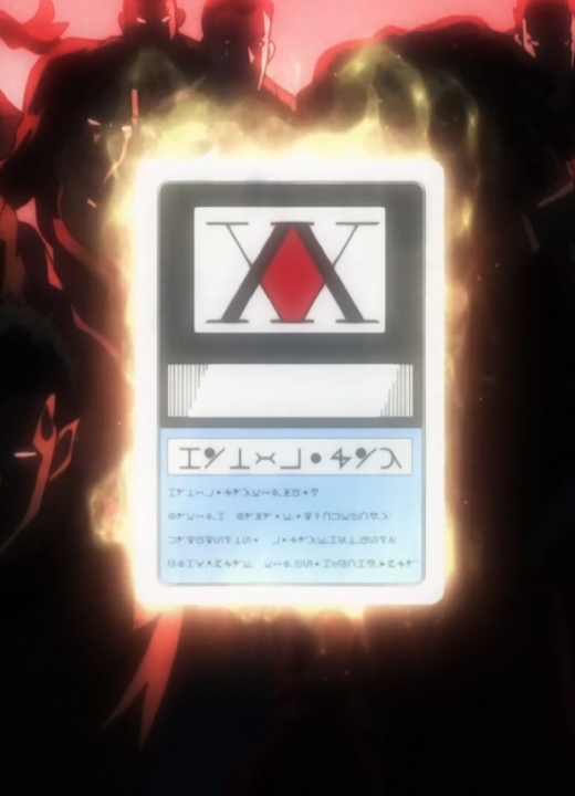 Hunter License Hunter x Hunter