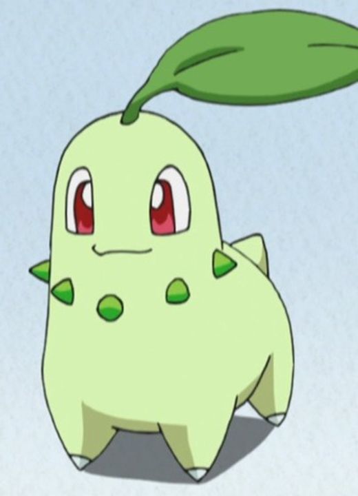 Chikorita Pokémon