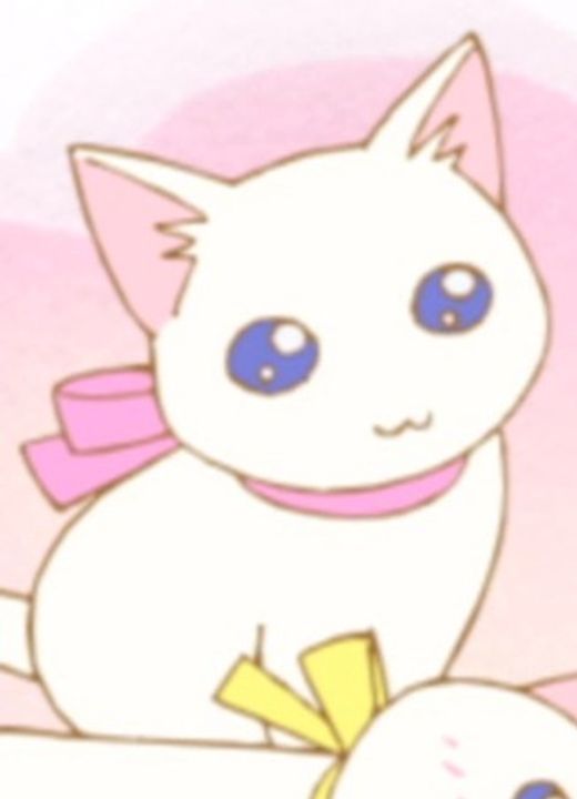 Plum Poyopoyo Kansatsu Nikki