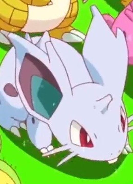 Female Nidoran Pokémon