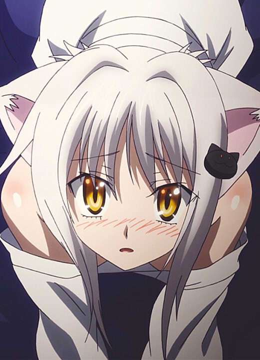 Koneko Toujou High School DxD