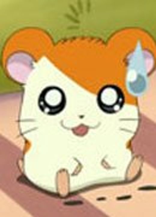 Hamtaro Hamtaro Movie 1: Ham Ham Land no Daibouken