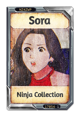 Sora Ninja Collection