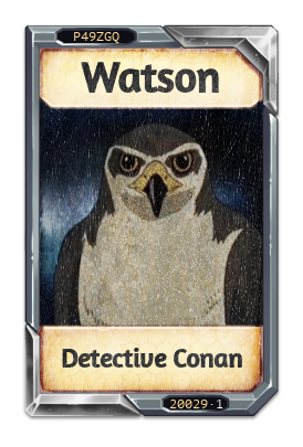 Watson Detective Conan