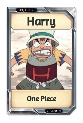 Harry One Piece