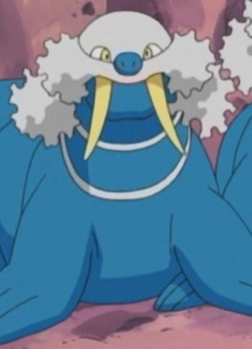 Walrein Pokémon Advanced