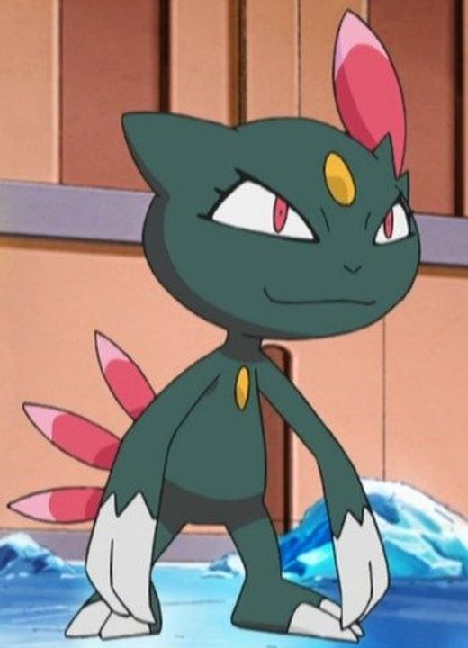 Sneasel Pokémon