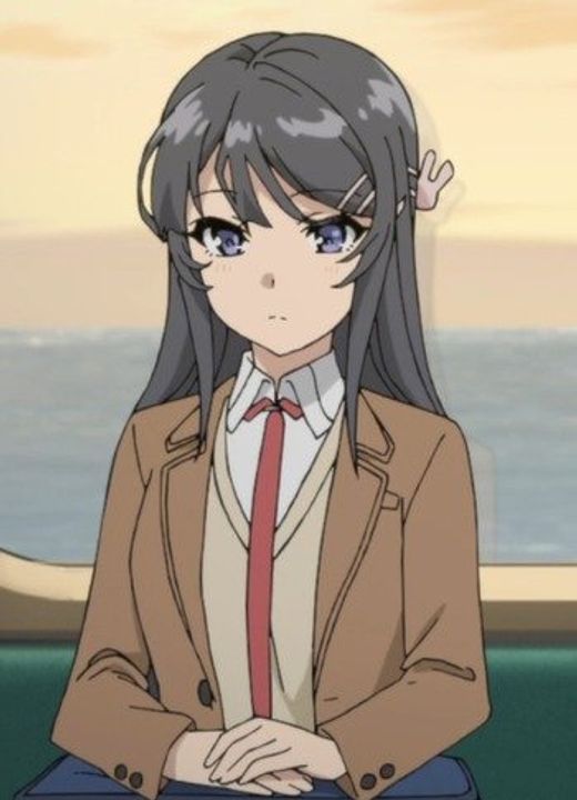 Mai Sakurajima Rascal Does Not Dream of Bunny Girl Senpai