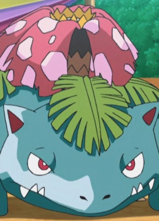 Venusaur Pokémon