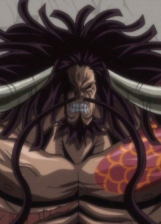 Kaido One Piece